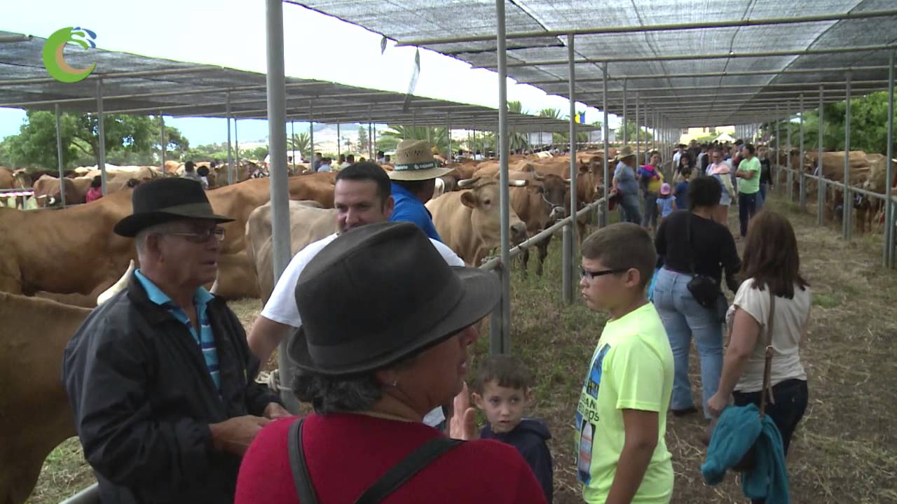 FERIA DE GANADO SAN BENITO 2015