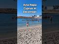 Cyprus in December Ayia Napa fun swim on sandy bay beach #lifeisbutadream #travel #sun