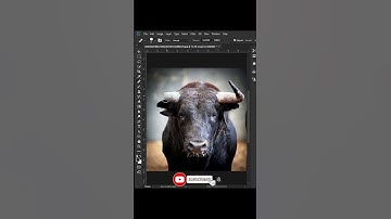 Clone Source Magic - Adobe Photoshop Tutorial