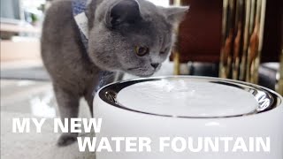 PETKIT EVERSWEET 3 WATER FOUNTAIN REVIEW | KITTICOOPER