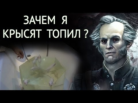 Видео: Как вы можете помочь остановить жестокое обращение с животными