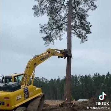 Ekskavator Menakjubkan Menghancurkan Pohon