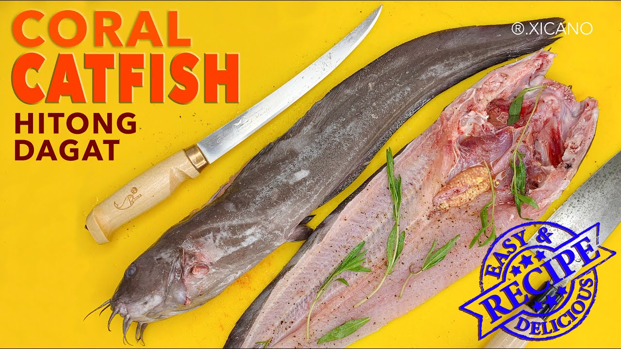 CLEAN & COOK CORAL CATFISH HITONG DAGAT ISLANDS BEST BAKED AND