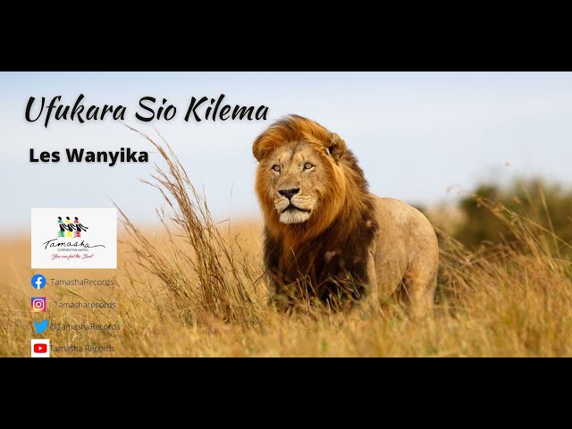 Ufukara Sio Kilema [with Lyrics] by Les Wanyika class=