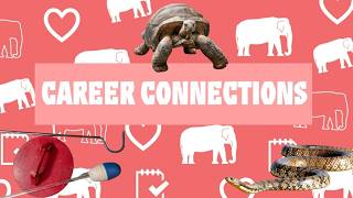 Career Connections: Animal Keeper - Training Reptiles