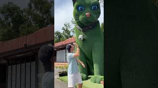 This cat is really alive! #funny #cats #catvideos #tiktok #social #usafunny #catlovers #funpage