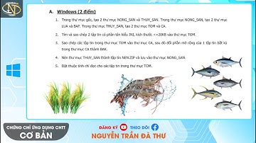 Cơ bản 6.5.2018 Đề 1 Windows | Bí kíp chia màn hình bằng SHOW WINDOWS STACKED | CC Ứng dụng CNTT