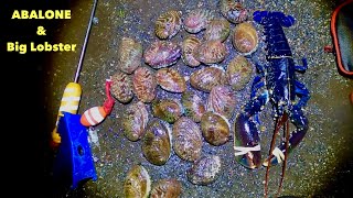 It’s ABALONE SEASON ! Coastal Foraging Big Abalone & Lobster , catch & cook