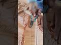 Handmade Wood Carving Finishing Work | Removing Nails from Wooden Design
