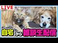 自宅から雑談ライブ！