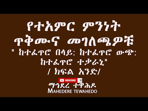 ቪዲዮ: የተአምር ጅራፍ ማሞቅ አስተማማኝ ነው?