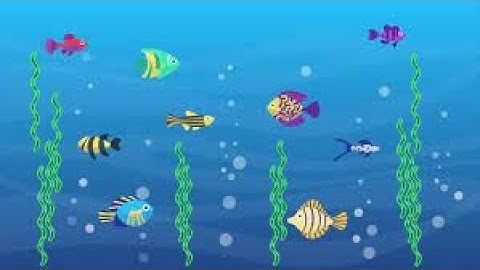 How to make swimming fish project in sprite lab(CodeWithAarav)