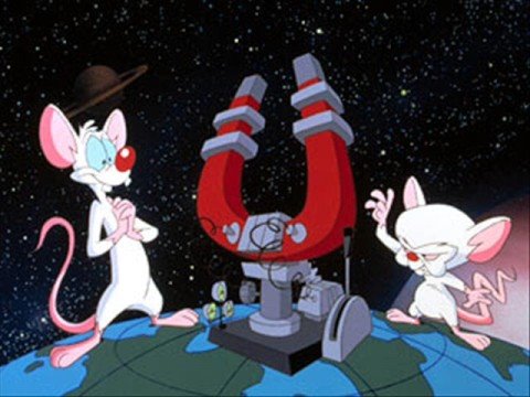 Pinky & The Brain Theme Song