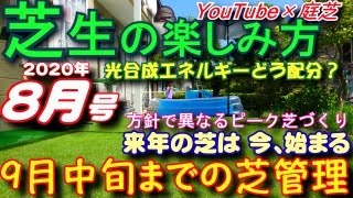 ８月から９月上旬の芝生の手入れと新作動画の計画 芝活2020