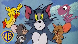 absurd animals tom jerry mega compilation kidscartoons atwbkids