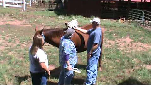 Equine Investigations Academy-Code 3 Associates
