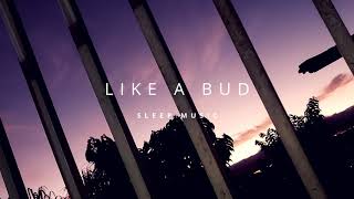 Vancouver Sleep Clinic- Rebirth