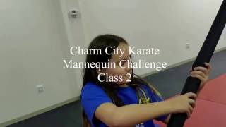 Mannequin Challenge at Charm City Karate