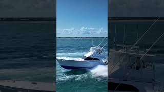 “Blue Chip” 53’ Gary Davis