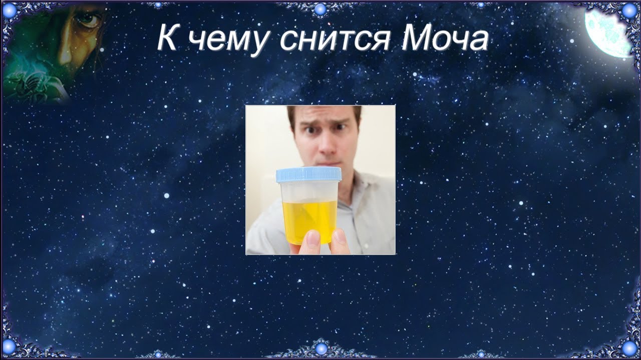 К чему снится Моча