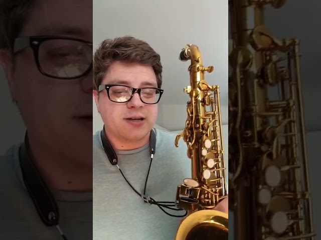 Better Sax alto worth the money? class=