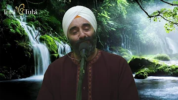 Healing with Tuhi Tuhi Kirtan Veechar Day 373 - AMRITVELA