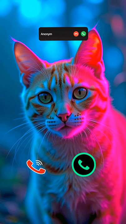 #ringtone #irringtone #iphoneringtone #cat #viringtone #ringintone #cutecat #mobilephoneringtone #yt