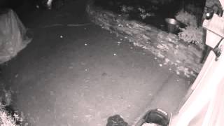 BackDoor 20131009 220746 1