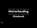 Molverhouding | Scheikunde