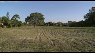 Old Boca Raton golf course being transformed