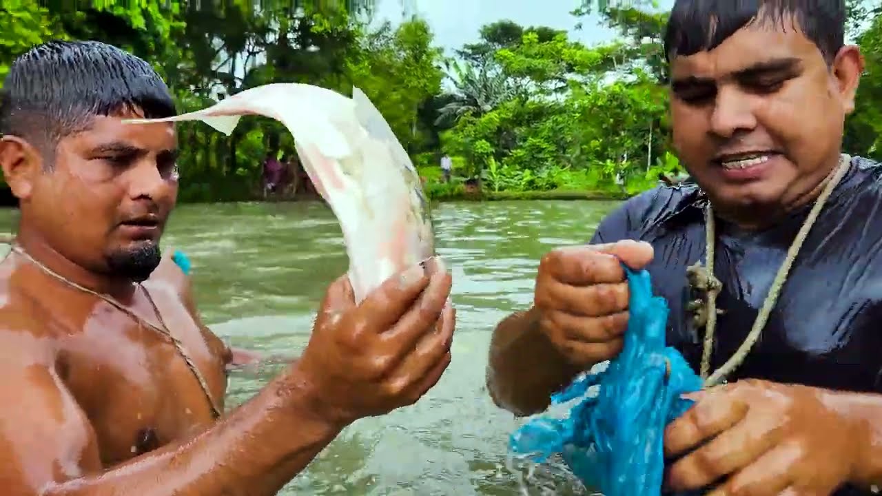 গ্রামের পুকুরে ধরা পড়লো দানবাকৃতির সব মাছ | Best Big Fishing Technique | Amazing Monster Fish Trap