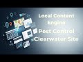 Local Content Engine Gutenberg Pest Control Clearwater Local Leadgen Site In 30 Minutes