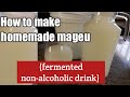 How I make homemade mageu (amahewu / mahewu: mealie-meal, sugar and water drink)