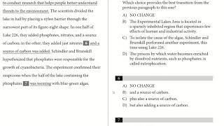 Practice Test 6 Writing Problem 6