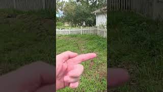 Citrus County Public Works DISTROYED our new homes lawn. Profile