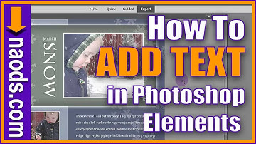 How to Add Text in Photoshop Elements - Digital Scrapbooking