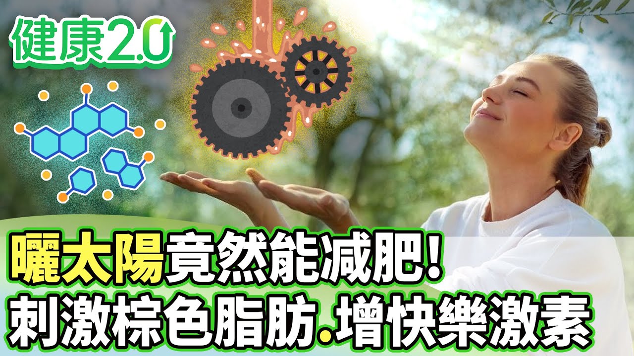 曬太陽竟然能减肥！ 刺激棕色脂肪提高快樂激素【健康2.0分段】