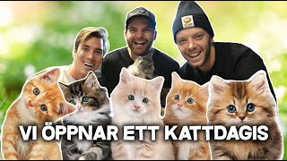 VI ÖPPNAR ETT KATTDAGIS!