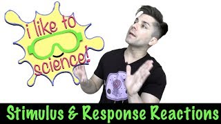 Stimulus/Response Reactions