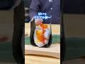 どの卵でおむすび食べたい?【トリプル卵】
