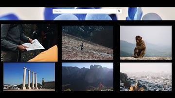 Image gallery webpage using html,css&bootstrap||make image gallery webpage easily#html#css#bootstrap