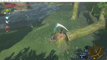 Issues with CEMU 1.7.4C (Amd Cards)