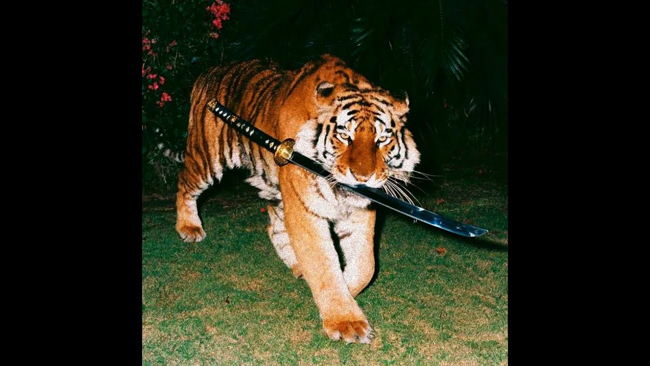 [FREE] PLAYBOI CARTI x SAMPLE TYPE BEAT