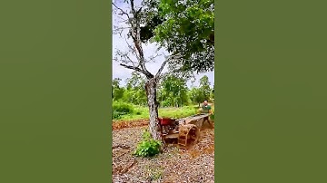 The process of clearing stumps (good tools can increase efficiency)