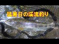 猛暑日の渓流釣り