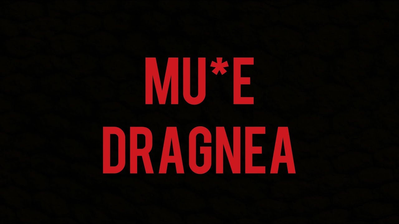 Brasov survival guide for beginners