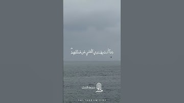 سورة النمل #القران_الكريم #اكسبلور #quran #الجمعة #هيثم_الدخين