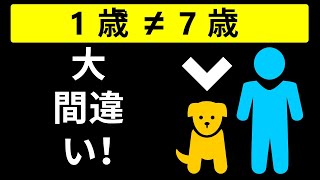 あなたのワンちゃんは思っているよりお年寄り？！
