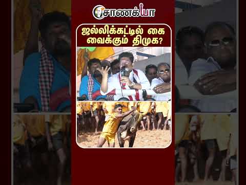 ⁣ஜல்லிக்கட்டில் கை வைக்கும் திமுக? | #shorts | #chanakyaa