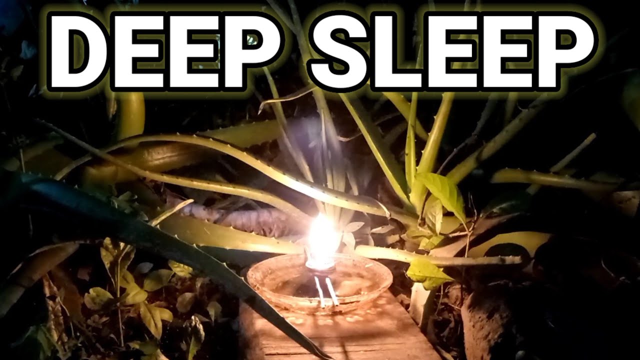Crickets Night Sound for Deep Sleep 🌙 Relaxing Nature Sounds || Part 3